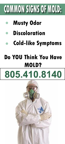 Santa Paula Mold Remediation Contractor