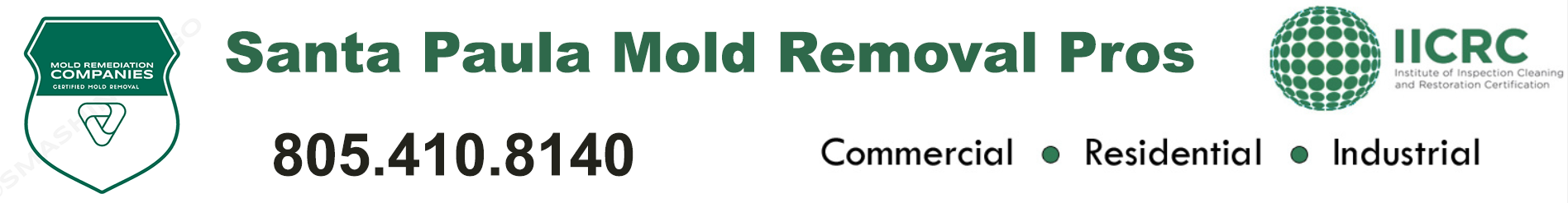 Santa Paula Mold Removal Pros